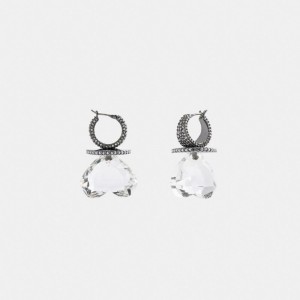 Coach Heart Gemstone Earrings Sieraden Dames Zilver | WS5263479