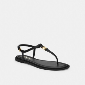 Coach Jessica Sandal Sandalen Dames Zwart | NP2156849