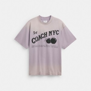 Coach Signature Apple T Shirt Topjes Heren Paars | PE1762098