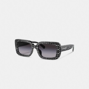 Coach Signature Oversized Rectangle Sunglasses Brillen Dames Zilver | LI0951368