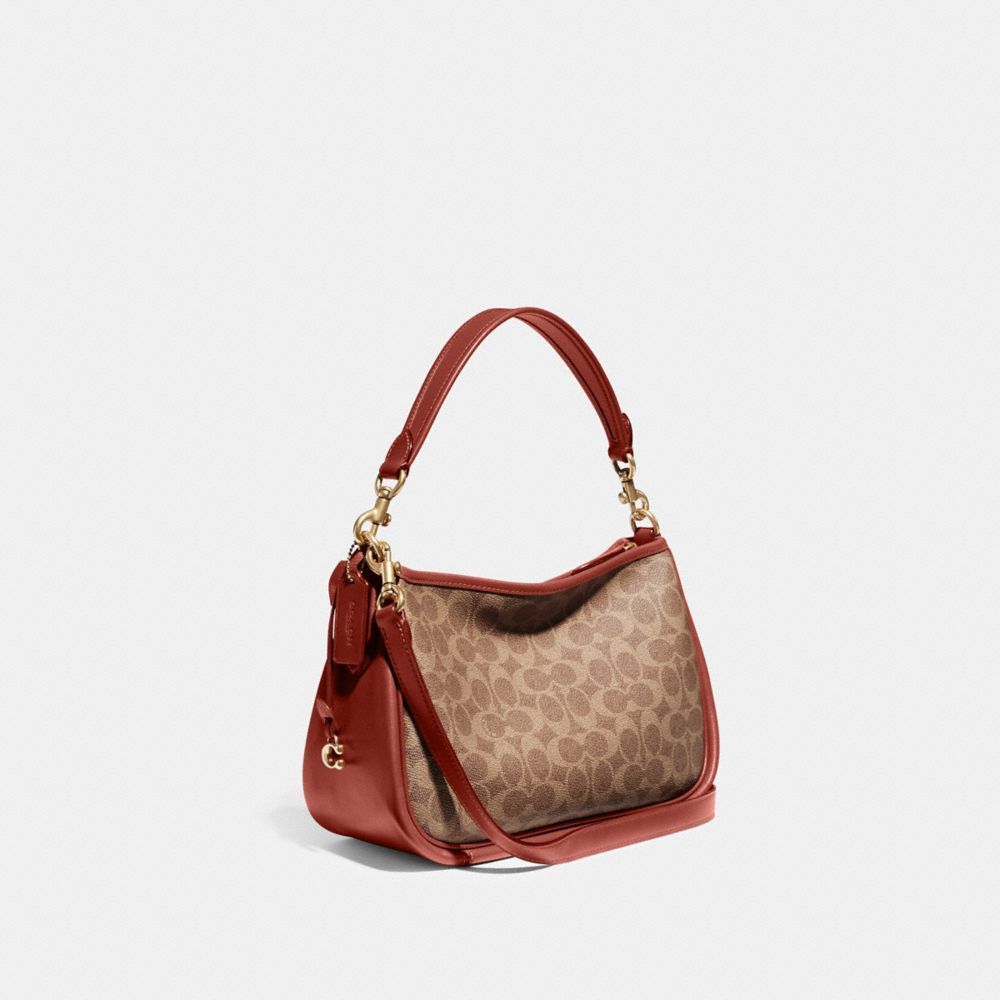 Coach Cary Crossbody Bag In Signature Canvas Crossbodytassen Dames Bruin Rood | WG3256490