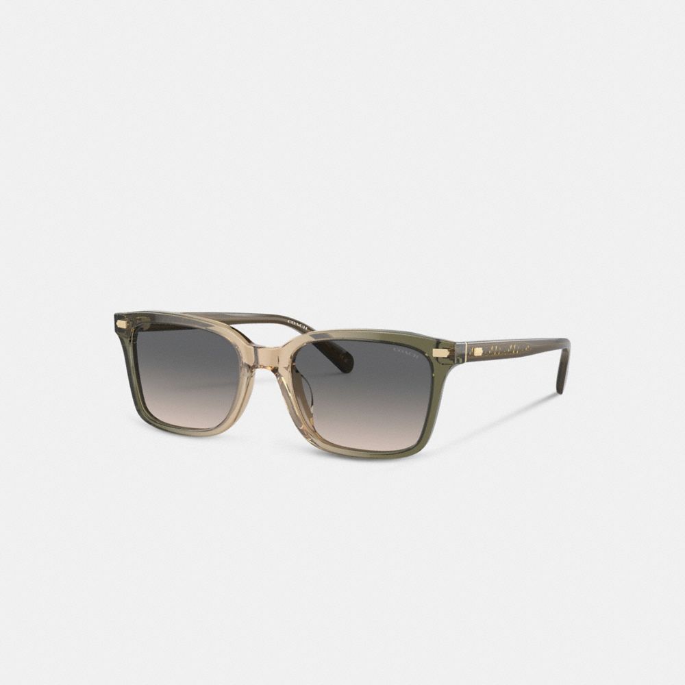 Coach Narrow Square Sunglasses Zonnebril Heren Groen Bruin | JV0798352