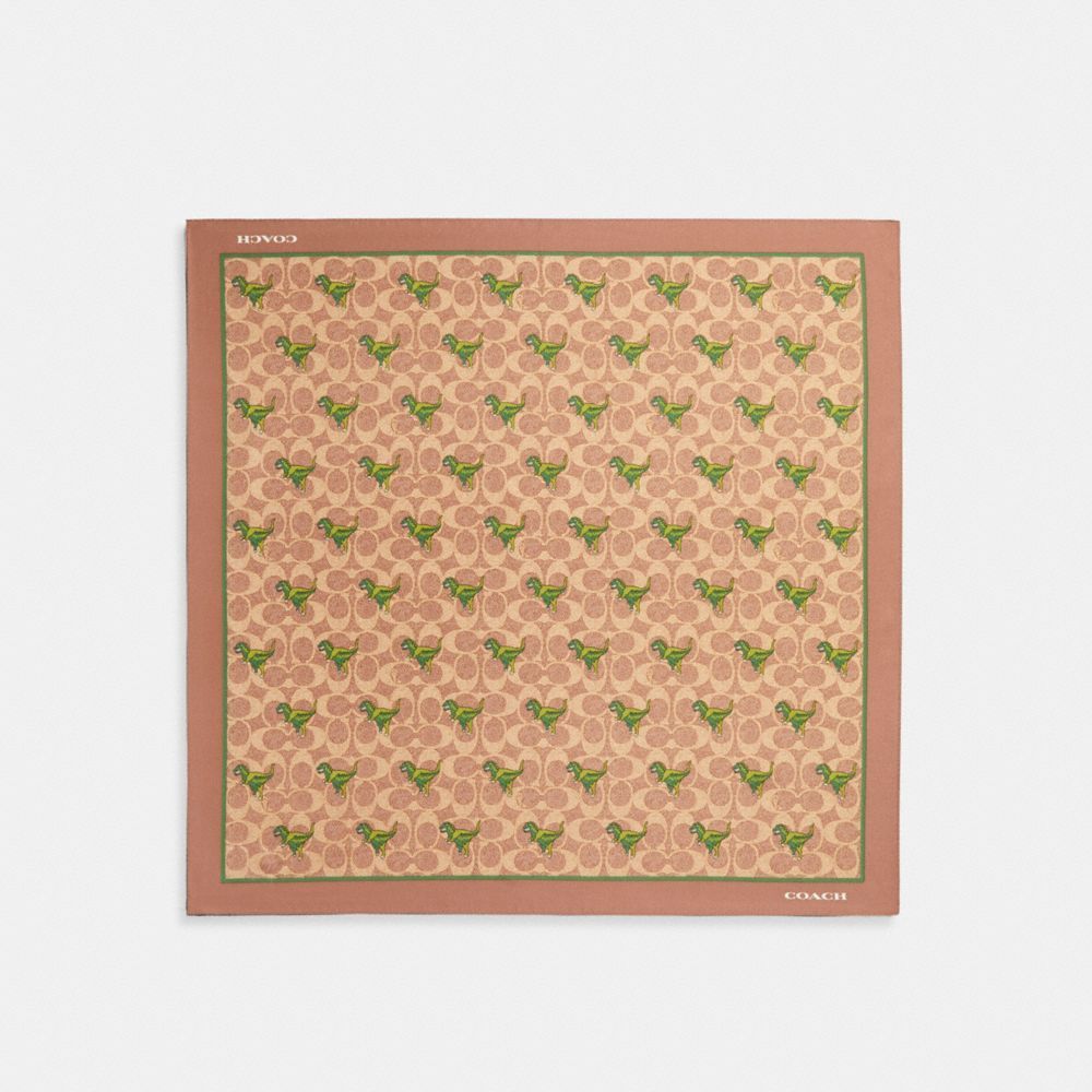 Coach Rexy Print Silk Bandana Hoeden Dames Khaki | PB1370942