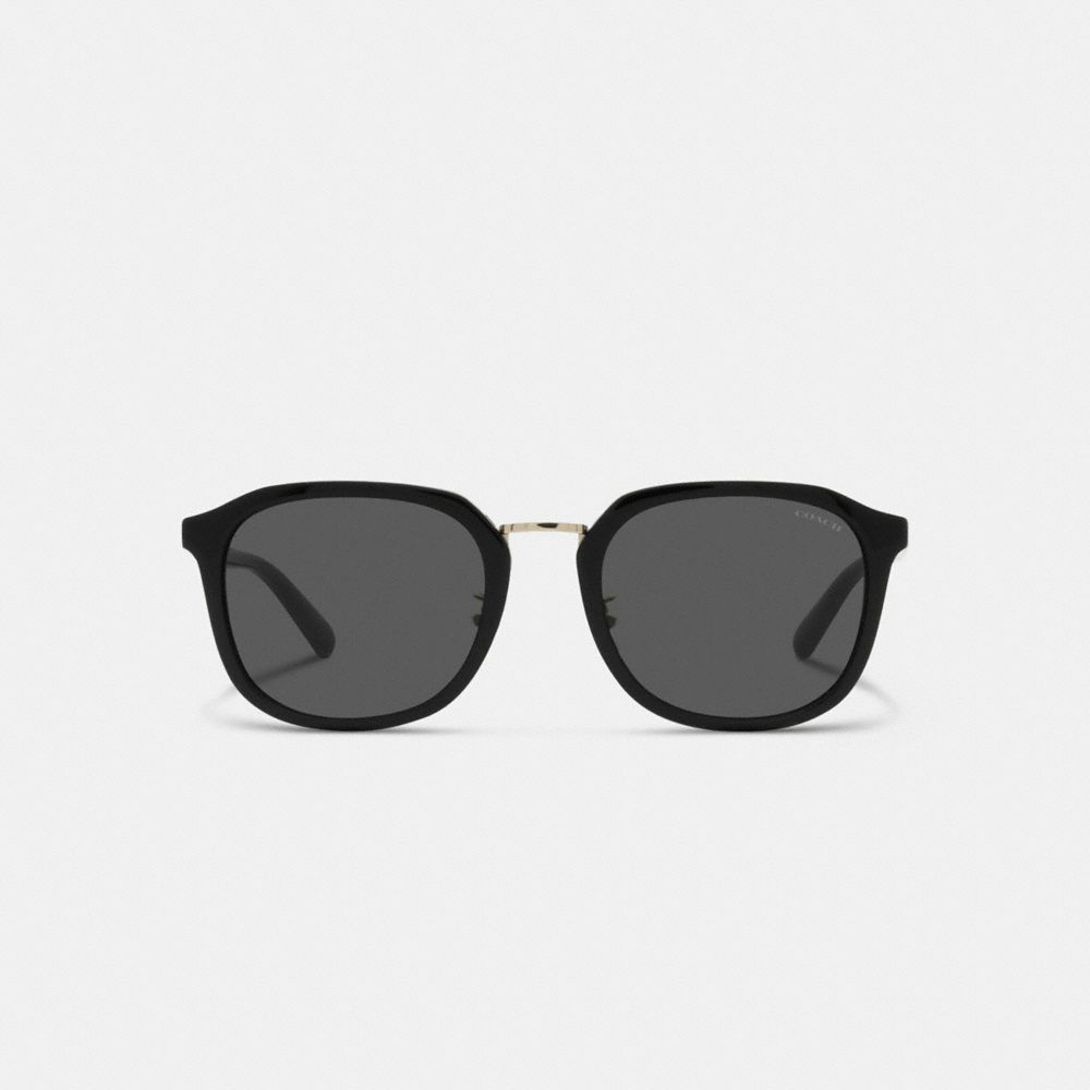 Coach Rounded Geometric Sunglasses Zonnebril Heren Zwart | QH6534078