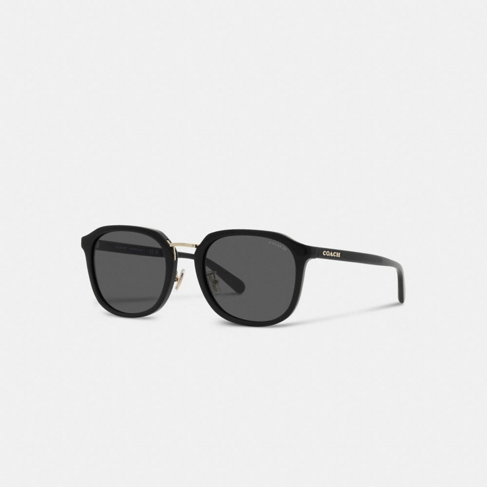 Coach Rounded Geometric Sunglasses Zonnebril Heren Zwart | QH6534078