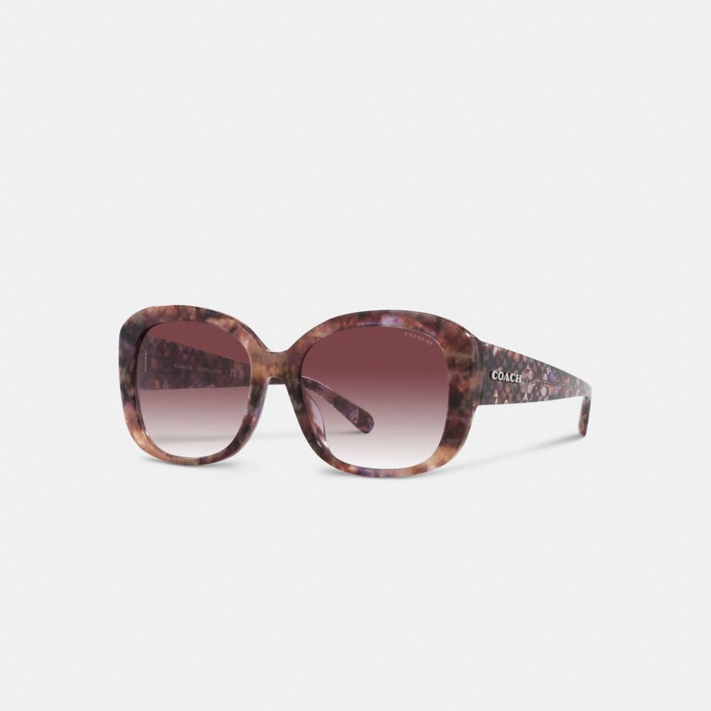 Coach Signature Oversized Square Sunglasses Brillen Dames Paars | GY4769352